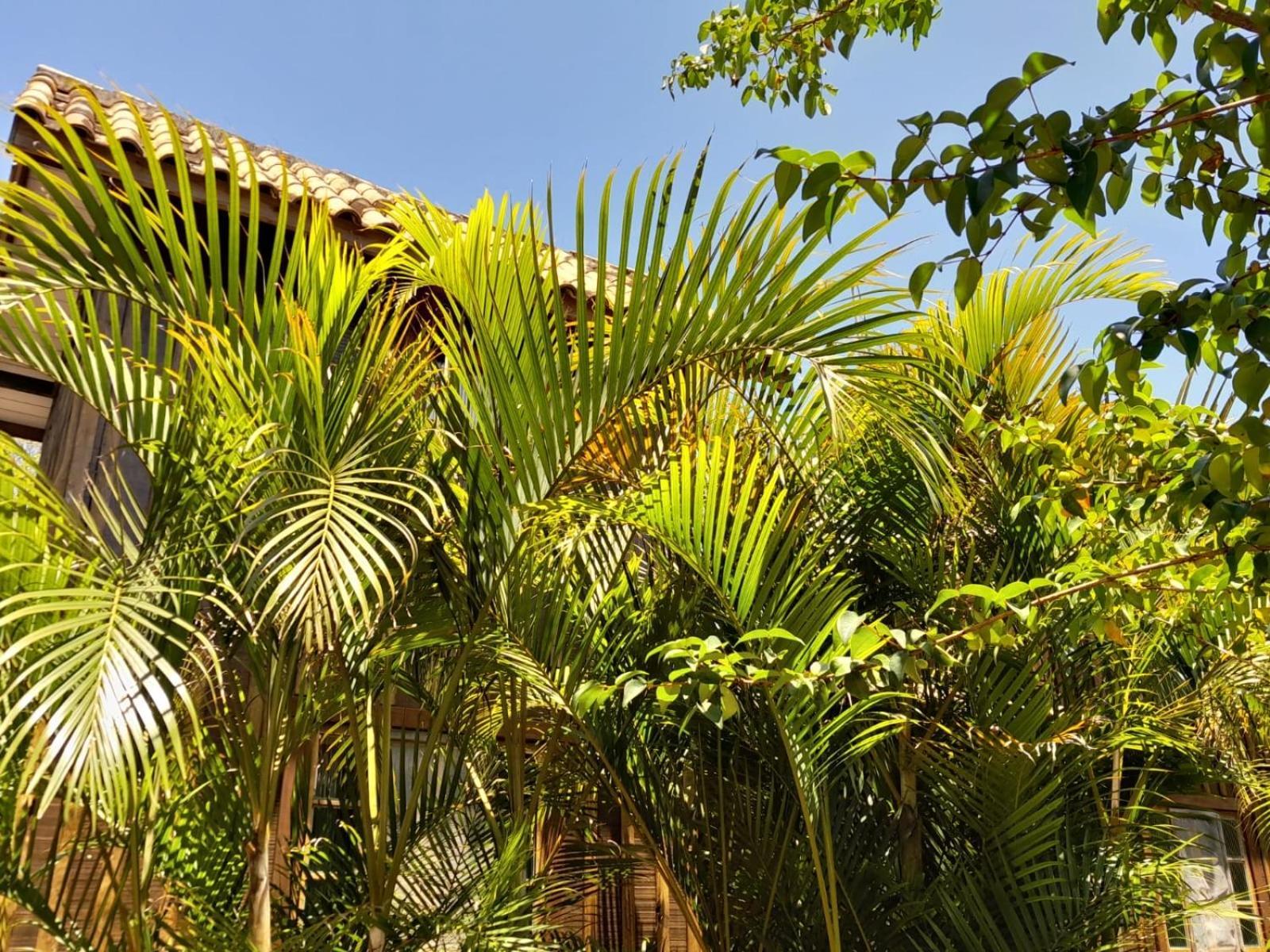 Recanto Das Bromelias Chales Guarda do Embau Bagian luar foto